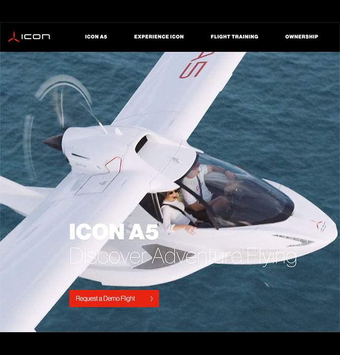 ICON Website Screenshot