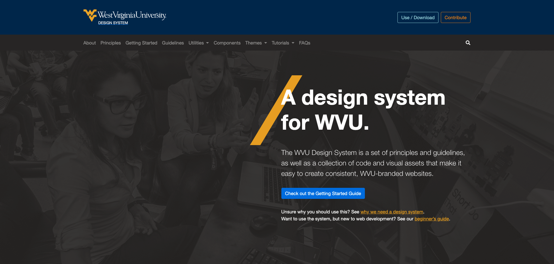 Screenshot of West Virginia University's design system